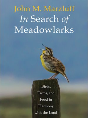 cover image of In Search of Meadowlarks
